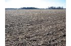 Property photo 8 - 127 Acres Offered in 4 Tracts